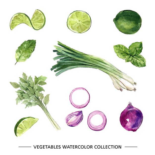 Various isolated watercolor vegetable illustration on white background for decorative use.