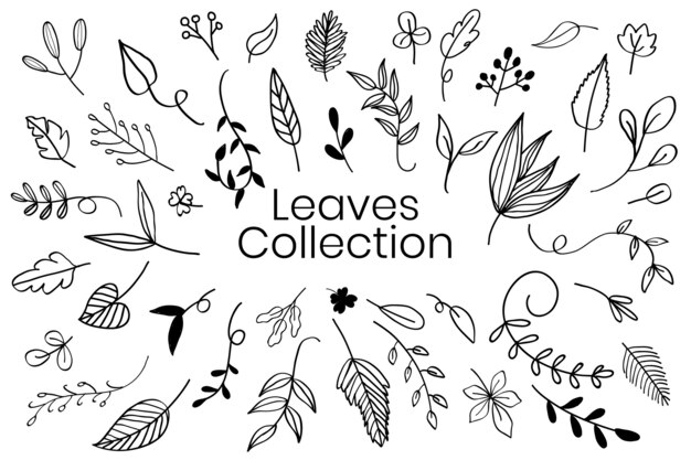 Various leaves doodle collection vector