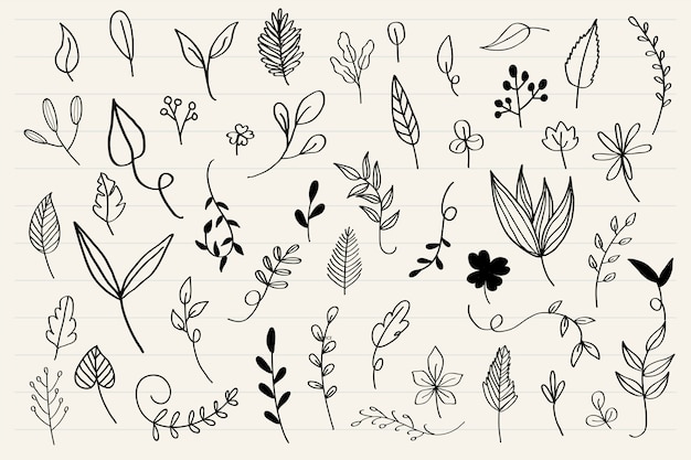 Free vector various leaves doodle collection vector