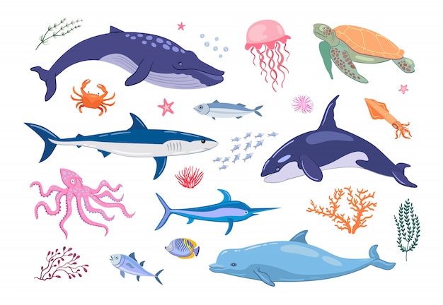 다양 한 해양 동물 평면 아이콘 세트