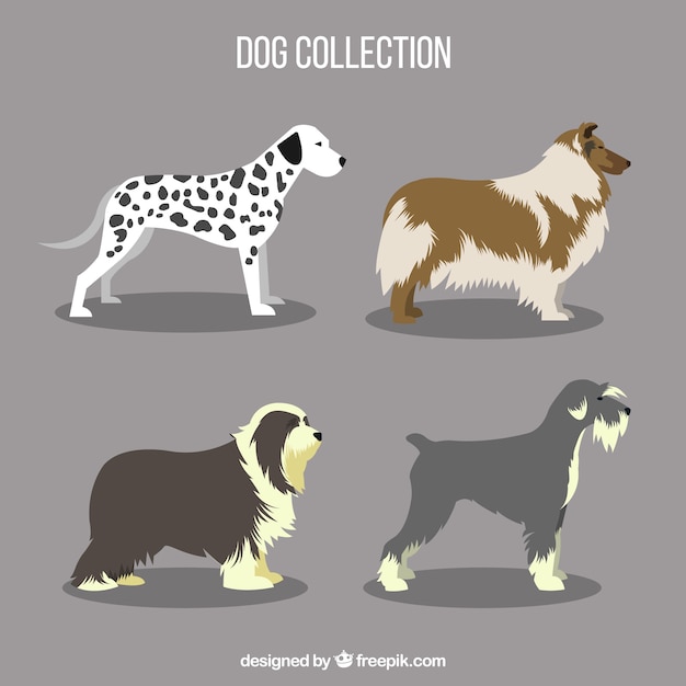 Free vector various profile dogs in flat design