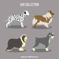 Free vector various profile dogs in flat design