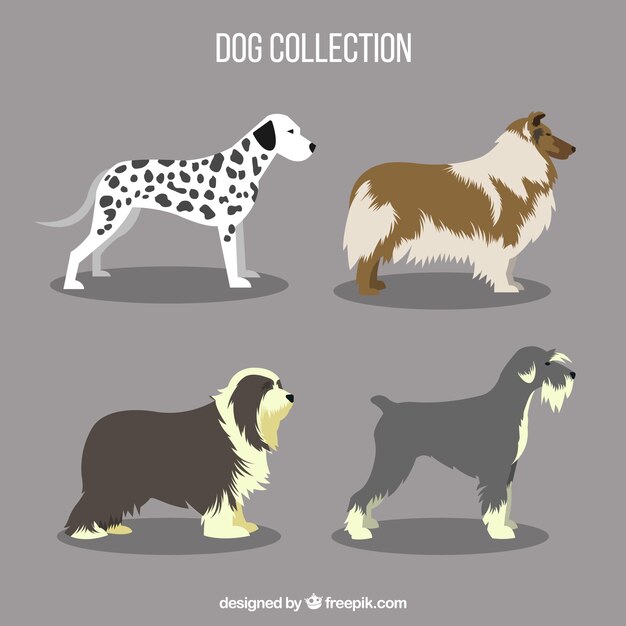 Various profile dogs in flat design