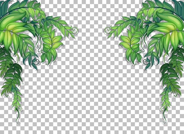 Free vector various tropical leaves on transparent background