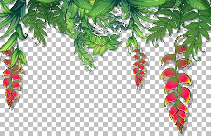 Free Vector various tropical leaves on transparent background