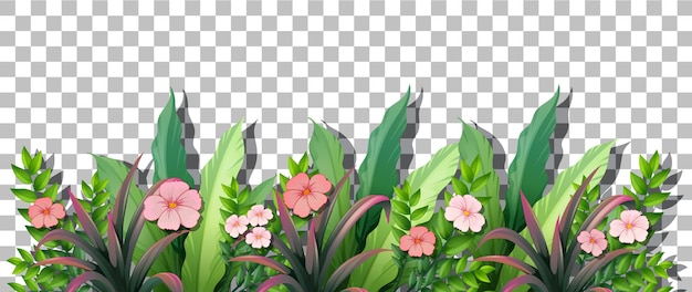 Various tropical plants on transparent background