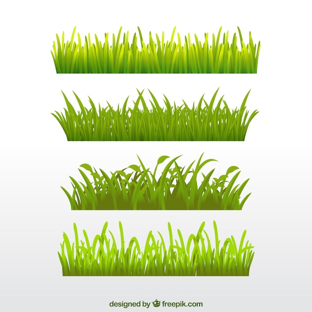 Various types of grass