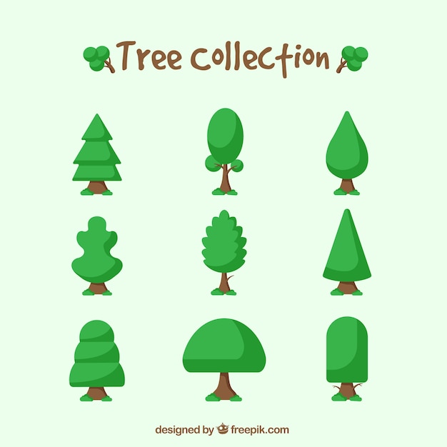 Free vector various types of trees