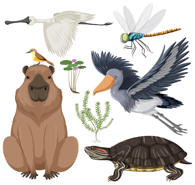 Free vector various wetland animals collection