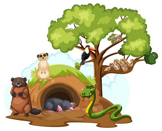 Various wild animals with burrow on white background