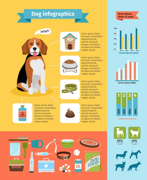 Бесплатное векторное изображение Инфографика для собак vecto, корм для собак и питомник, ветеринария и уход, ошейники и выставки собак
