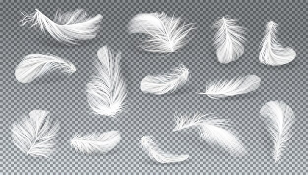 다양 한 모양의 흰 새 또는 천사 깃털의 3d 현실 세트 벡터