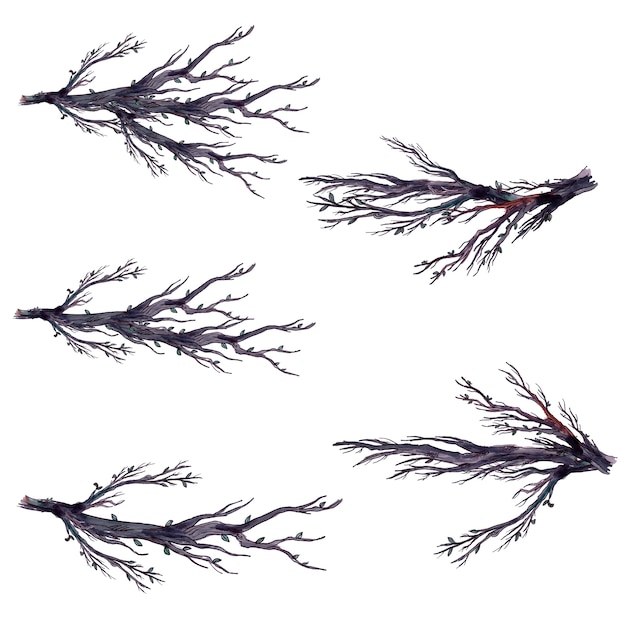 vector branches collection