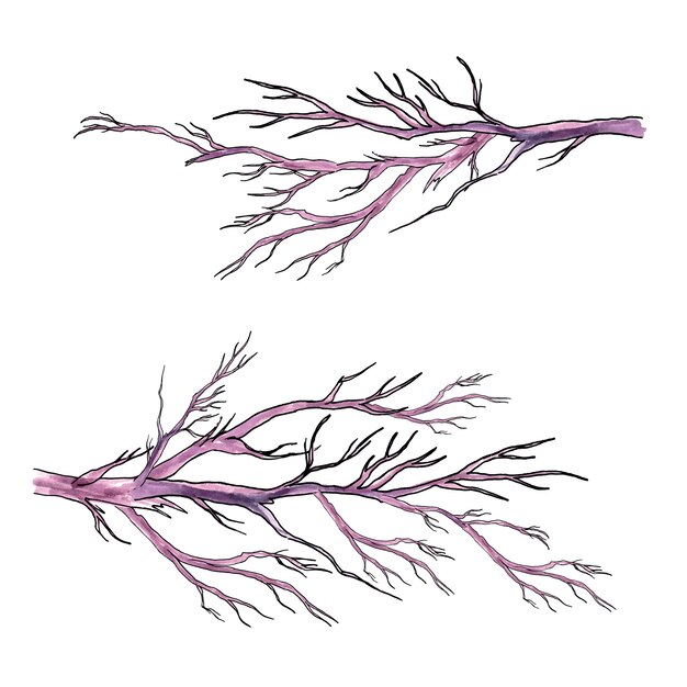 vector branches collection