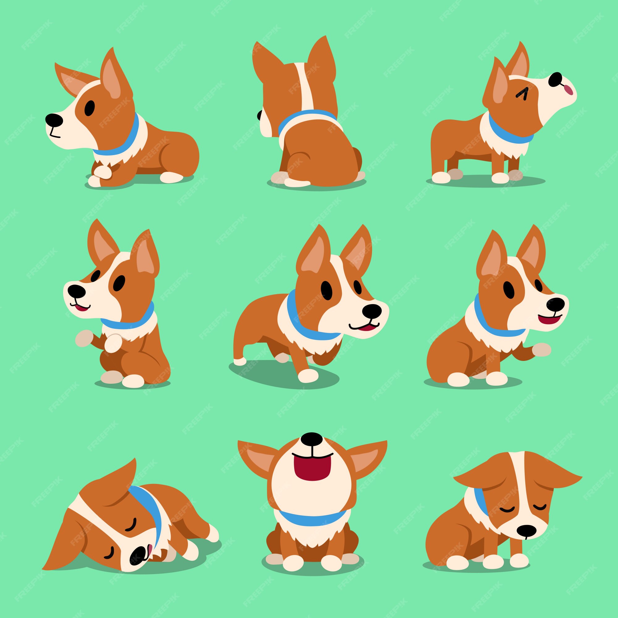 ベクトル漫画のキャラクターのコーギー犬のポーズ プレミアムベクター