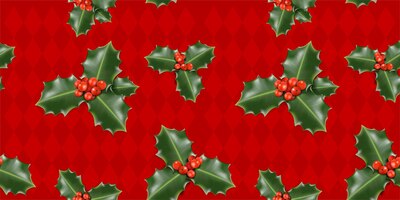 vector christmas mistletoe pattern on red background