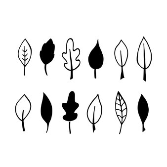 낙서 꽃과 잎의 벡터 컬렉션입니다. 디지털 종이, 스티커, 착색을 만들기 위해. 표면, 섬유, 포장, 배경 디자인용. 주제 성격