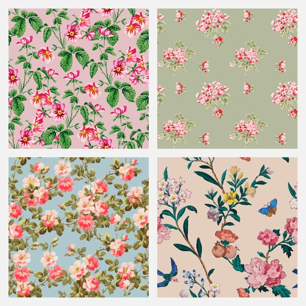 Vector colorful floral vintage background collection