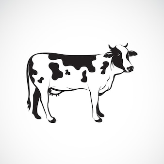 Vector of cow on white background, farm animal, vector illustration. cow logo or icon. easy editable layered vector illustration.