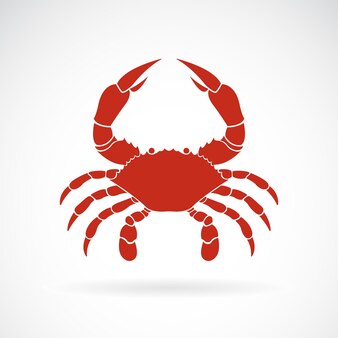 Vector of a crab on white background animals easy editable layered vector illustration