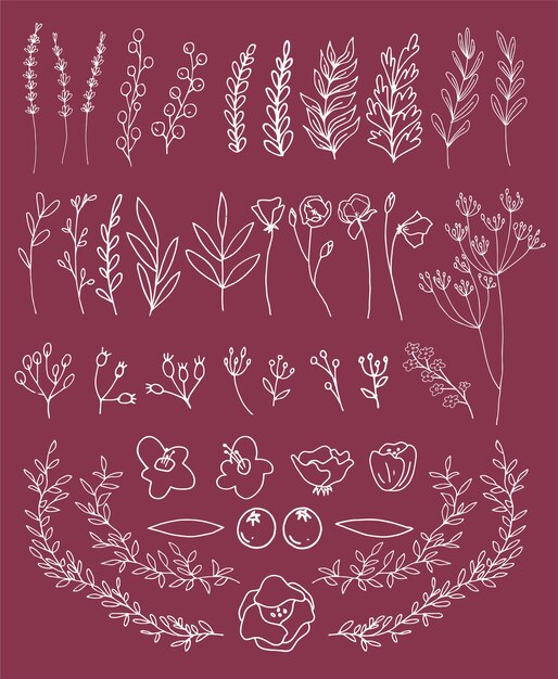 Vector of floral banner set