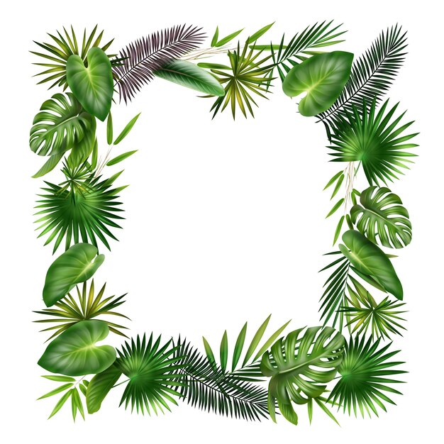 녹색, 보라색 열대 식물 팜, 고사리, 대나무 및 Monstera 잎에서 벡터 프레임 흰색 배경에 고립