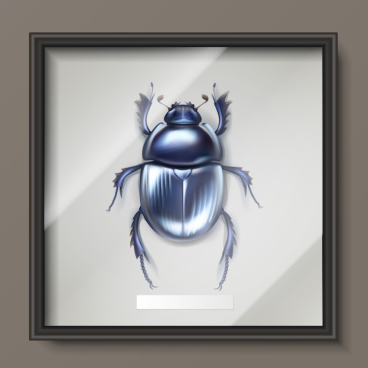 Free Vector vector framed dark blue shiny dung beetle hanging on wall