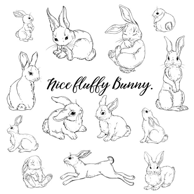 ハッピーイースターのグリーティングカード 春の野にカラフルなイースターエッグとかわいいバニー ベクトルイラスト プレミアムベクター