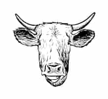 Free vector vector hand drawn icon cow head isolated on white background