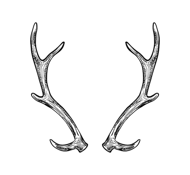 Бесплатное векторное изображение Вектор рука нарисованные значок рога, изолированные на белом фоне