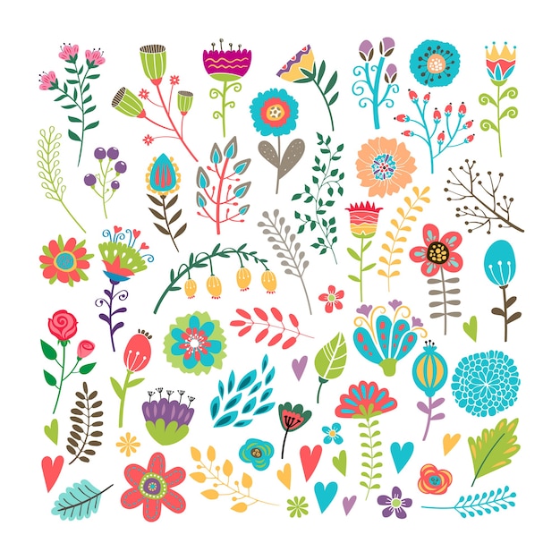 vector hand drawn vintage floral elements