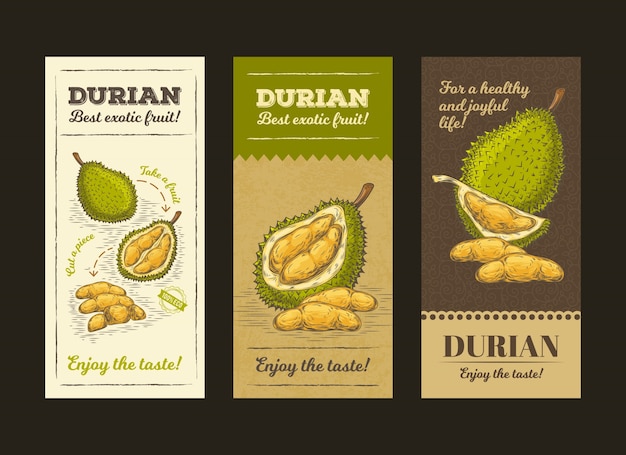 Vettore gratuito illustrazione vettoriale in imballaggio di progettazione per frutta durian, modello, moc up