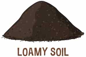 Free vector vector illustration of loamy soil