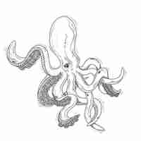 Free vector vector illustration of an octopus painted in an engraving style isolated on white.