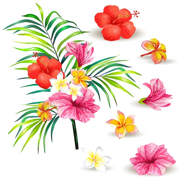 Free vector vector illustration of a realistic style branch of a tropical palm tree with hibiscus flowers