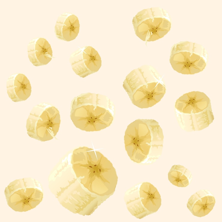 Free Vector vector illustration of a set of banana slices