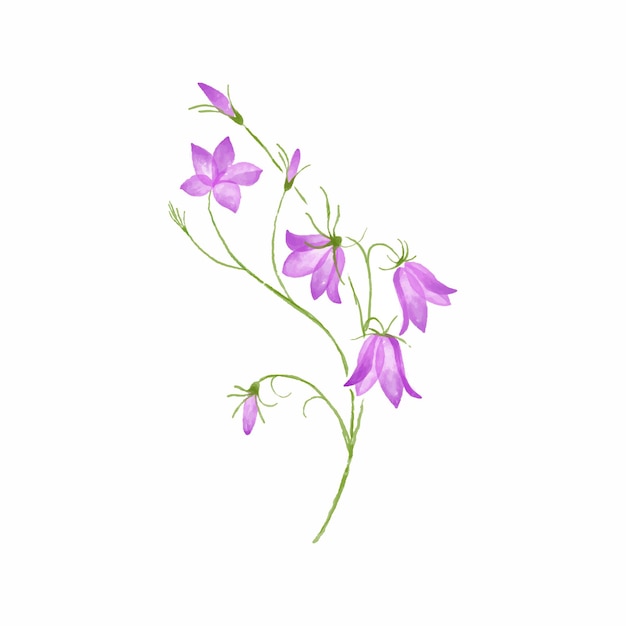 Free vector vector illustration watercolor flower