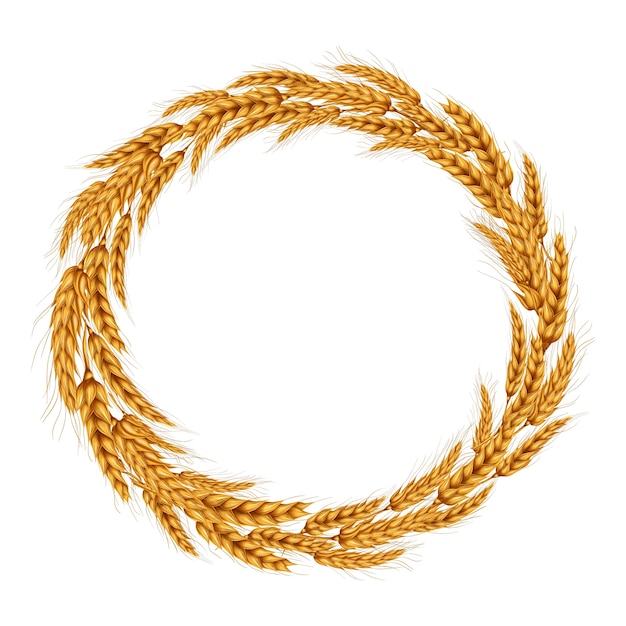 Векторная иллюстрация венок из колосков пшеницы.
