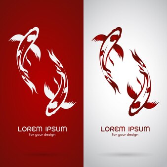 Vector image of an carp koi design on white background and red background, logo, symbol