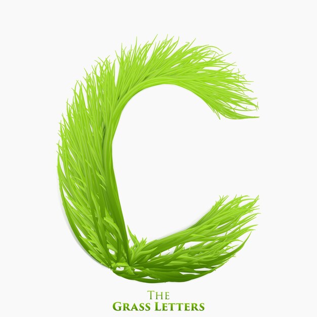 ジューシーな草のアルファベットのベクトル文字C