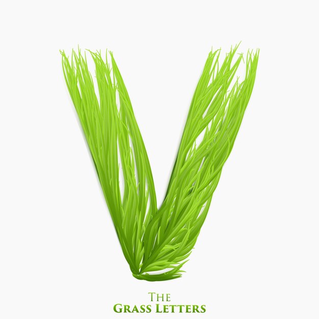 Векторная буква V алфавита сочная трава. Зеленый символ V, состоящий из растущей травы. Реалистичный алфавит органических растений. Иллюстрация набора весны и экологии.