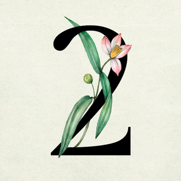 Vector number 2 font botanical vintage typography