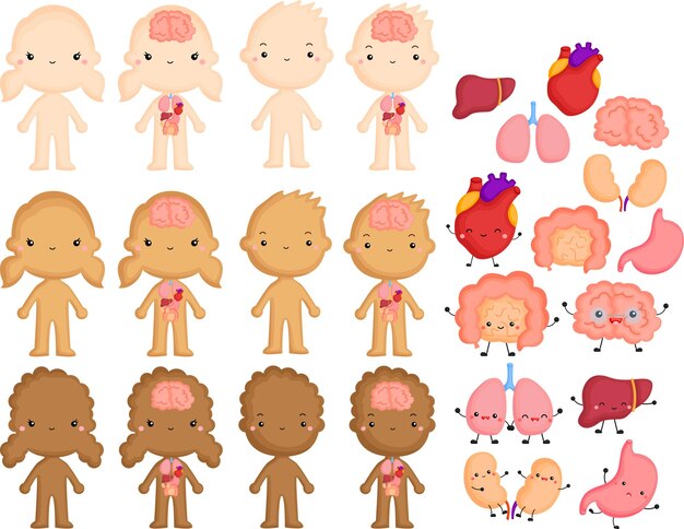 腸 画像 無料のベクター ストックフォト Psd