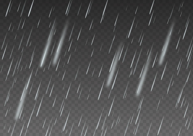 Vector rain isolated on transparent background