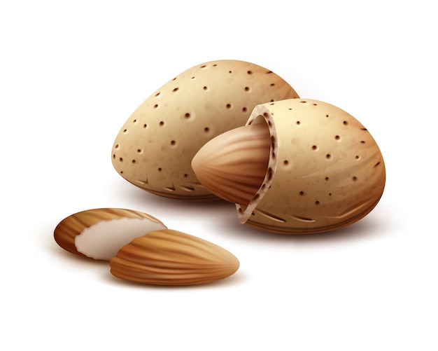 ベクトル現実的な殻付き、殻なしアーモンドナッツは白い背景で隔離の側面図をクローズアップ