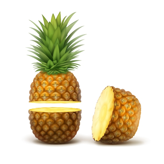 Vector ripe sliced pineapple fruit isolated on white background
