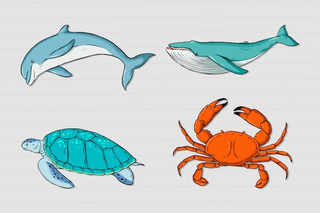 Vector Sea Animal Sticker Collection Colorful Clipart