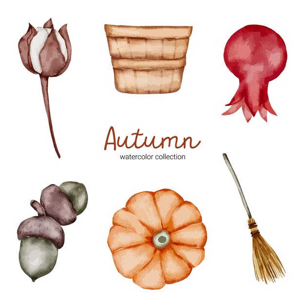 水彩風の秋のオブジェクト要素のベクトルを設定します。手描きの染みと組み合わせた水彩画の秋の花とオブジェクトデザインのコレクション。植物の葉の水彩画の手描き。