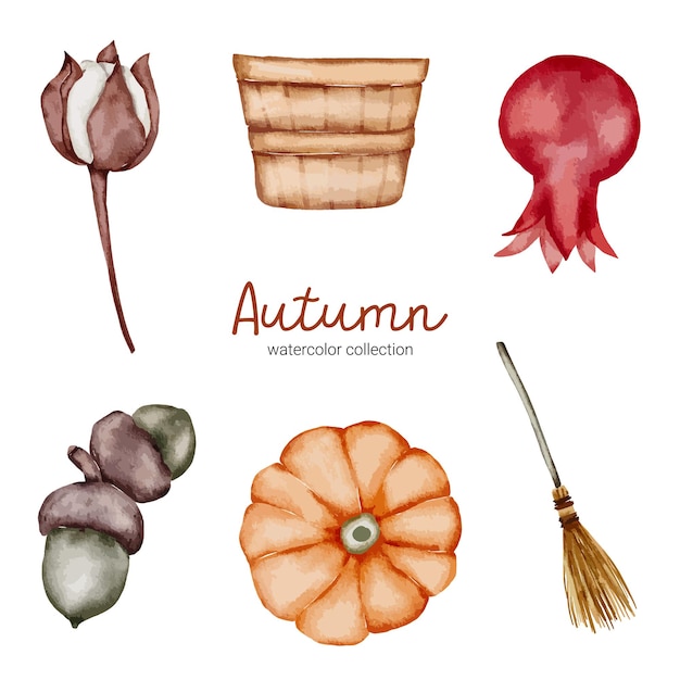 Vector set of autumn object elements in a watercolor style. Collection of watercolor Autumn flower and object design combined with stain hand-painted. botanical leaves watercolor hand painting.