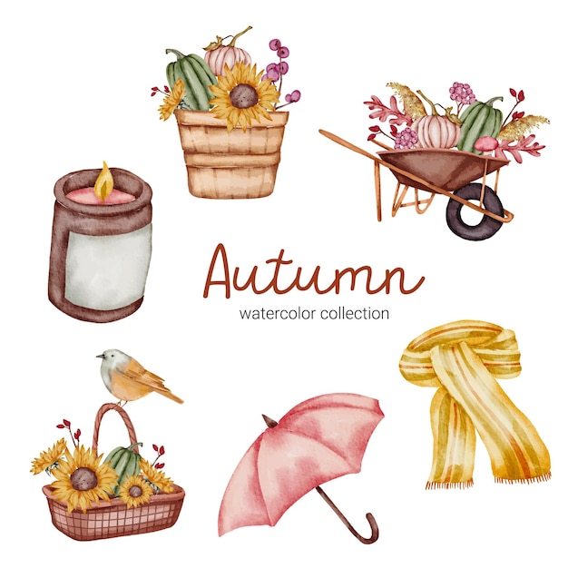 水彩風の秋のオブジェクト要素のベクトルを設定します。手描きの染みと組み合わせた水彩画の秋の花とオブジェクトのデザインのセットです。植物の葉の水彩画の手描き
